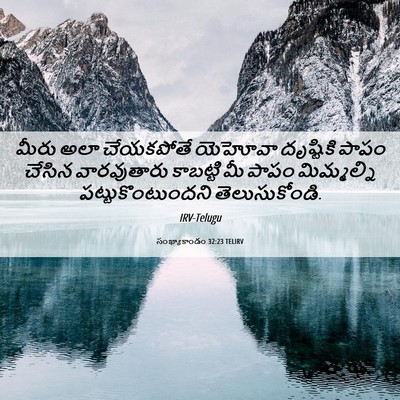 Picture 06 - సంఖ్యాకాండం 32:23 TELIRV - మీరు అలా చేయకపోతే - Bible Verse Picture