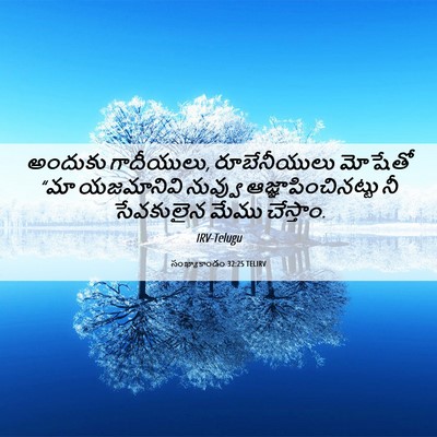Picture 06 - సంఖ్యాకాండం 32:25 TELIRV - అందుకు గాదీయులు, - Bible Verse Picture