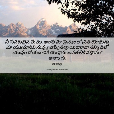 Picture 06 - సంఖ్యాకాండం 32:27 TELIRV - నీ సేవకులైన మేము, - Bible Verse Picture