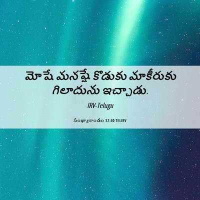 Picture 06 - సంఖ్యాకాండం 32:40 TELIRV - మోషే మనష్షే - Bible Verse Picture