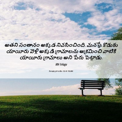 Picture 06 - సంఖ్యాకాండం 32:41 TELIRV - అతని సంతానం అక్కడ - Bible Verse Picture