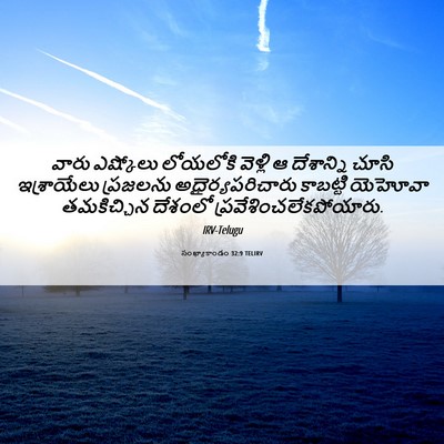 Picture 06 - సంఖ్యాకాండం 32:9 TELIRV - వారు ఎష్కోలు - Bible Verse Picture