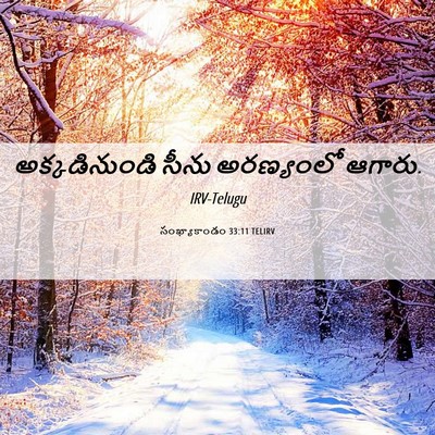 Picture 06 - సంఖ్యాకాండం 33:11 TELIRV - అక్కడినుండి సీను - Bible Verse Picture
