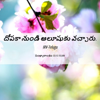 Picture 06 - సంఖ్యాకాండం 33:13 TELIRV - దోపకా నుండి - Bible Verse Picture