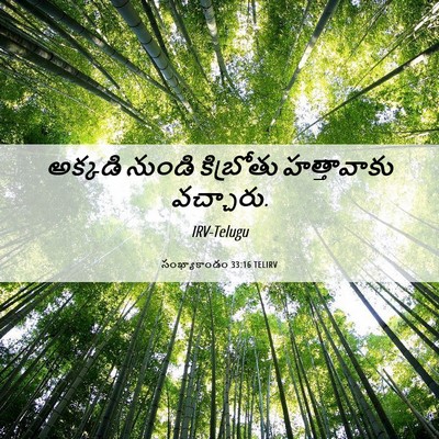 Picture 06 - సంఖ్యాకాండం 33:16 TELIRV - అక్కడి నుండి - Bible Verse Picture