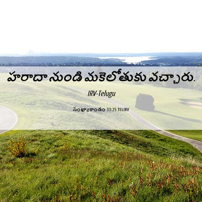 Picture 06 - సంఖ్యాకాండం 33:25 TELIRV - హరాదా నుండి - Bible Verse Picture