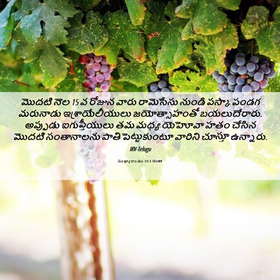 Picture 06 - సంఖ్యాకాండం 33:3 TELIRV - మొదటి నెల 15 వ రోజున - Bible Verse Picture