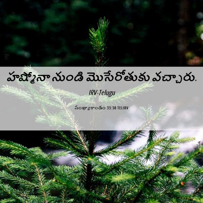 Picture 06 - సంఖ్యాకాండం 33:30 TELIRV - హష్మోనా నుండి - Bible Verse Picture