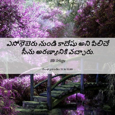 Picture 06 - సంఖ్యాకాండం 33:36 TELIRV - ఎసోన్గెబెరు నుండి - Bible Verse Picture