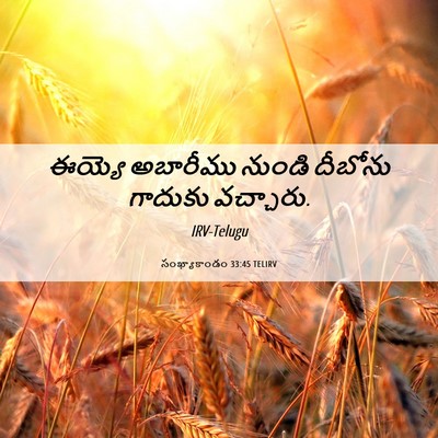 Picture 06 - సంఖ్యాకాండం 33:45 TELIRV - ఈయ్యె అబారీము - Bible Verse Picture