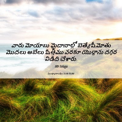 Picture 06 - సంఖ్యాకాండం 33:49 TELIRV - వారు మోయాబు - Bible Verse Picture