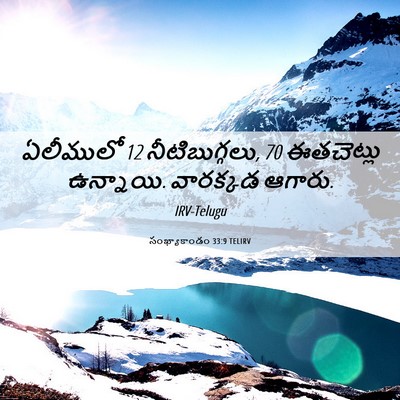 Picture 06 - సంఖ్యాకాండం 33:9 TELIRV - ఏలీములో 12 - Bible Verse Picture