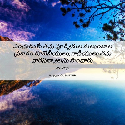 Picture 06 - సంఖ్యాకాండం 34:14 TELIRV - ఎందుకంటే తమ - Bible Verse Picture
