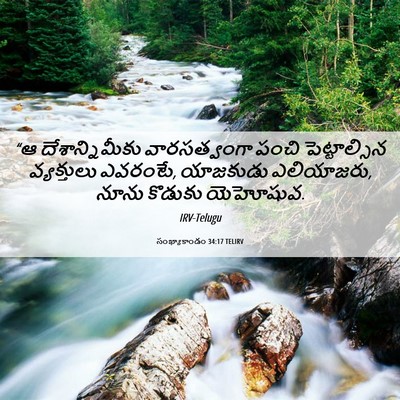 Picture 06 - సంఖ్యాకాండం 34:17 TELIRV - “ఆ దేశాన్నిమీకు - Bible Verse Picture