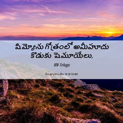 Picture 06 - సంఖ్యాకాండం 34:20 TELIRV - షిమ్యోను గోత్రంలో - Bible Verse Picture