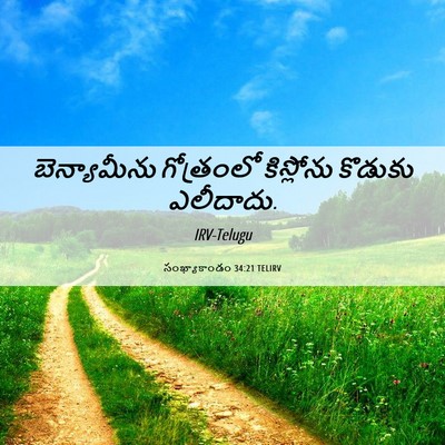 Picture 06 - సంఖ్యాకాండం 34:21 TELIRV - బెన్యామీను - Bible Verse Picture