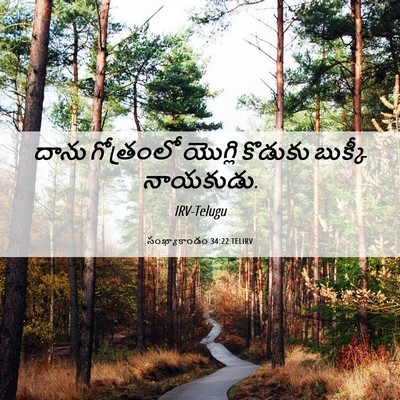 Picture 06 - సంఖ్యాకాండం 34:22 TELIRV - దాను గోత్రంలో - Bible Verse Picture
