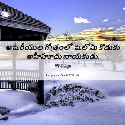 Picture 06 - సంఖ్యాకాండం 34:27 TELIRV - ఆషేరీయుల గోత్రంలో - Bible Verse Picture