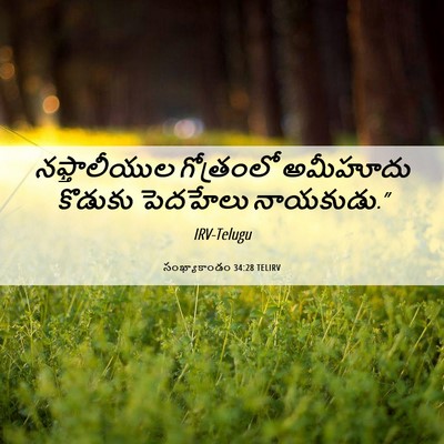 Picture 06 - సంఖ్యాకాండం 34:28 TELIRV - నఫ్తాలీయుల - Bible Verse Picture