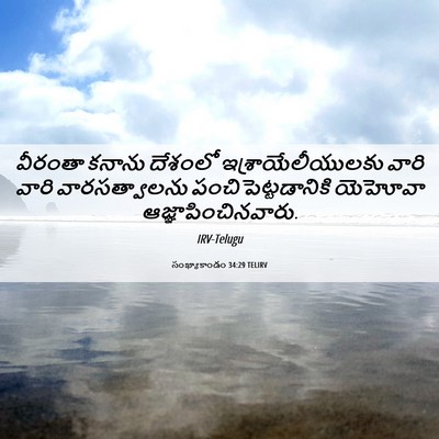 Picture 06 - సంఖ్యాకాండం 34:29 TELIRV - వీరంతా కనాను - Bible Verse Picture