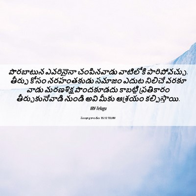Picture 06 - సంఖ్యాకాండం 35:12 TELIRV - పొరబాటున ఎవరినైనా - Bible Verse Picture
