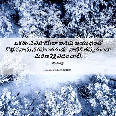 Picture 06 - సంఖ్యాకాండం 35:16 TELIRV - ఒకడు చనిపోయేలా - Bible Verse Picture