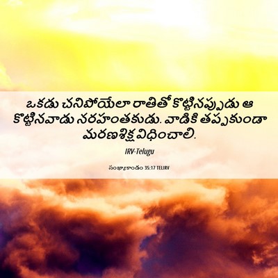 Picture 06 - సంఖ్యాకాండం 35:17 TELIRV - ఒకడు చనిపోయేలా - Bible Verse Picture