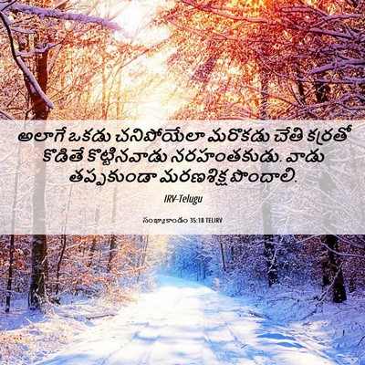 Picture 06 - సంఖ్యాకాండం 35:18 TELIRV - అలాగే ఒకడు - Bible Verse Picture