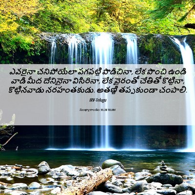Picture 06 - సంఖ్యాకాండం 35:20 TELIRV - ఎవరైనా చనిపోయేలా - Bible Verse Picture