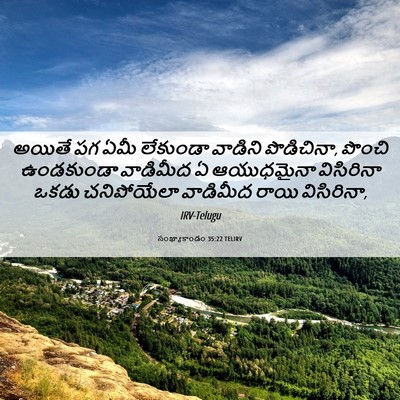Picture 06 - సంఖ్యాకాండం 35:22 TELIRV - అయితే పగ ఏమీ - Bible Verse Picture