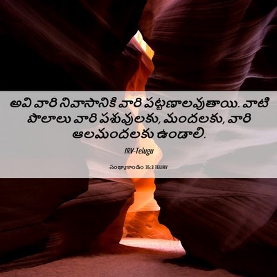 Picture 06 - సంఖ్యాకాండం 35:3 TELIRV - అవి వారి - Bible Verse Picture