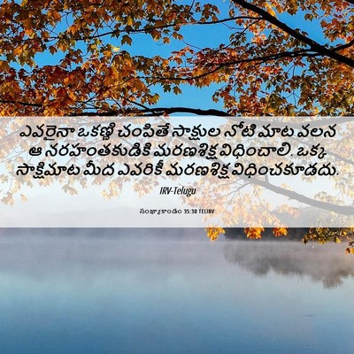Picture 06 - సంఖ్యాకాండం 35:30 TELIRV - ఎవరైనా ఒకణ్ణి - Bible Verse Picture