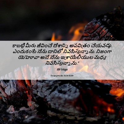 Picture 06 - సంఖ్యాకాండం 35:34 TELIRV - కాబట్టి మీరు - Bible Verse Picture