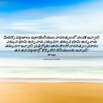 Picture 06 - సంఖ్యాకాండం 35:8 TELIRV - మీరిచ్చే పట్టణాలు - Bible Verse Picture
