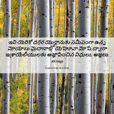 Picture 06 - సంఖ్యాకాండం 36:13 TELIRV - ఇవి యెరికో దగ్గర - Bible Verse Picture