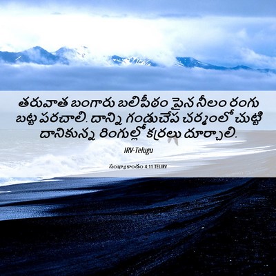 Picture 06 - సంఖ్యాకాండం 4:11 TELIRV - తరువాత బంగారు - Bible Verse Picture