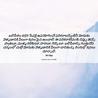 Picture 06 - సంఖ్యాకాండం 4:14 TELIRV - బలిపీఠం దగ్గర - Bible Verse Picture