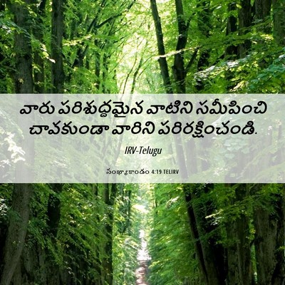 Picture 06 - సంఖ్యాకాండం 4:19 TELIRV - వారు పరిశుద్ధమైన - Bible Verse Picture