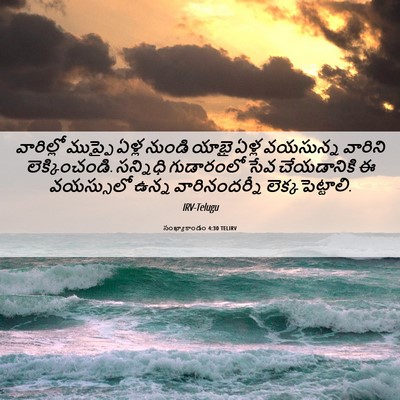 Picture 06 - సంఖ్యాకాండం 4:30 TELIRV - వారిల్లో ముప్ఫై - Bible Verse Picture