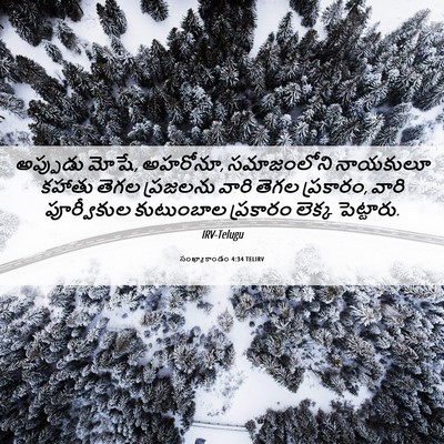 Picture 06 - సంఖ్యాకాండం 4:34 TELIRV - అప్పుడు మోషే, - Bible Verse Picture