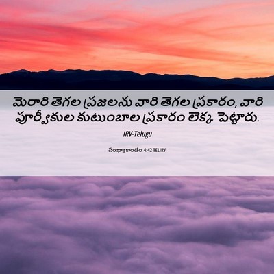 Picture 06 - సంఖ్యాకాండం 4:42 TELIRV - మెరారి తెగల - Bible Verse Picture