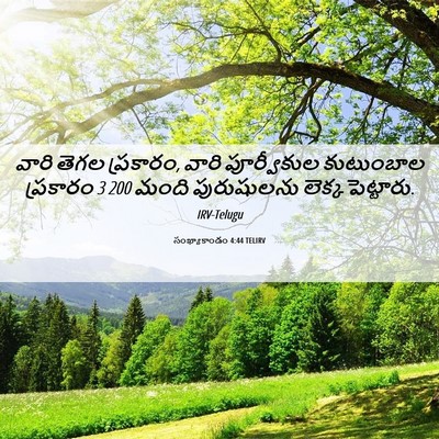 Picture 06 - సంఖ్యాకాండం 4:44 TELIRV - వారి తెగల ప్రకారం, - Bible Verse Picture