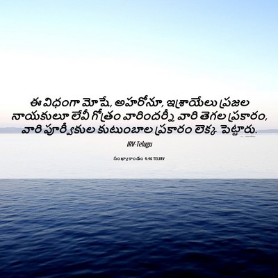 Picture 06 - సంఖ్యాకాండం 4:46 TELIRV - ఈ విధంగా మోషే, - Bible Verse Picture