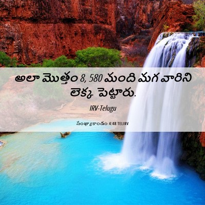 Picture 06 - సంఖ్యాకాండం 4:48 TELIRV - అలా మొత్తం 8, 580 మంది - Bible Verse Picture