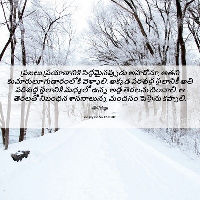 Picture 06 - సంఖ్యాకాండం 4:5 TELIRV - ప్రజలు - Bible Verse Picture