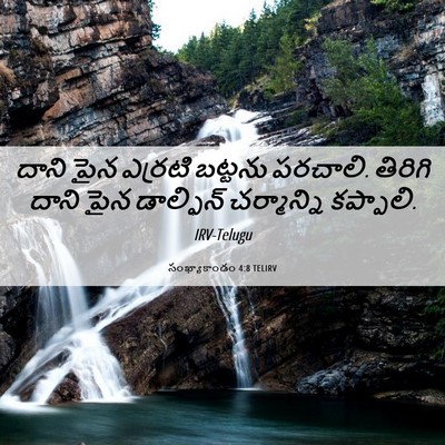 Picture 06 - సంఖ్యాకాండం 4:8 TELIRV - దాని పైన ఎర్రటి - Bible Verse Picture