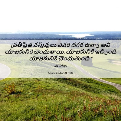 Picture 06 - సంఖ్యాకాండం 5:10 TELIRV - ప్రతిష్టిత - Bible Verse Picture
