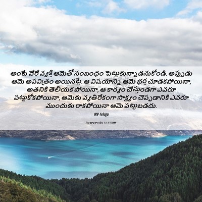 Picture 06 - సంఖ్యాకాండం 5:13 TELIRV - అంటే వేరే వ్యక్తి - Bible Verse Picture