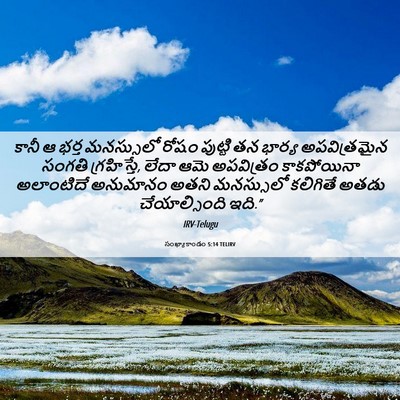 Picture 06 - సంఖ్యాకాండం 5:14 TELIRV - కానీ ఆ భర్త - Bible Verse Picture