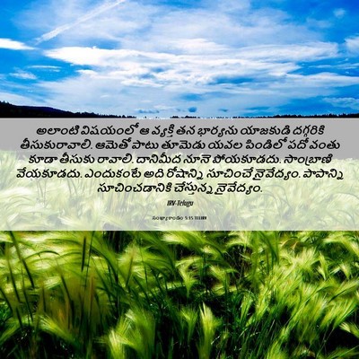 Picture 06 - సంఖ్యాకాండం 5:15 TELIRV - అలాంటి విషయంలో ఆ - Bible Verse Picture